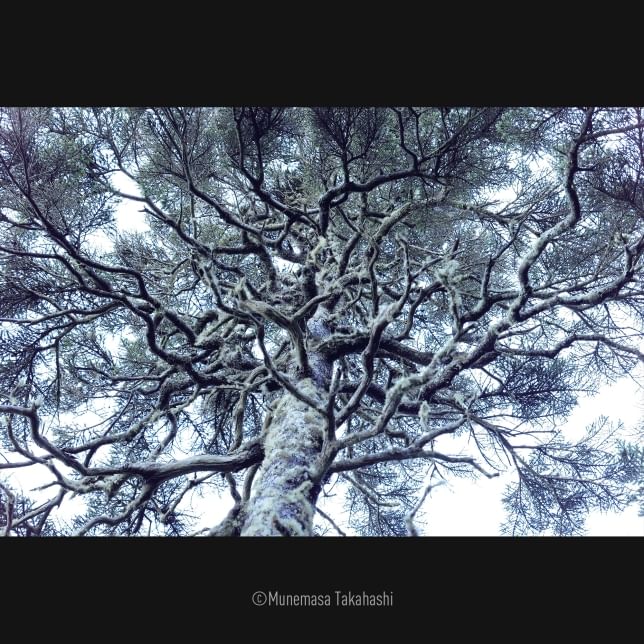 Panasonic Lumix S5 II X + Lumix S 50mm/F1,8 Panasonic Lumix S5 II X + Lumix S 50mm/F1,8